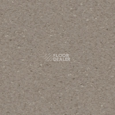 Линолеум Tarkett iQ Granit MEDIUM COOL BEIGE 0449 фото 1 | FLOORDEALER